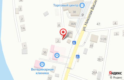 Псковская городская станция по борьбе с болезнями животных на карте