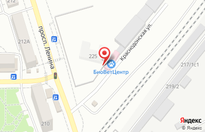 Зоомаркет Сахарная косточка на проспекте Ленина на карте
