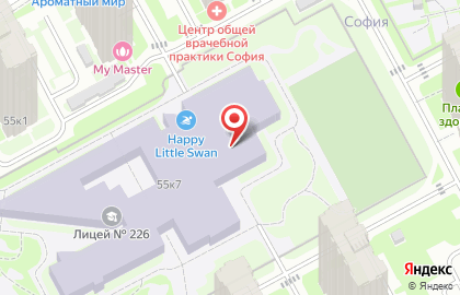 Лицей №226 на карте