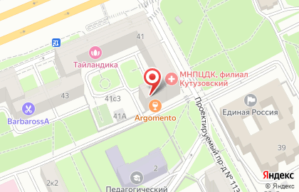 Государственная психотерапевтическая поликлиника №223 на Кутузовском проспекте на карте