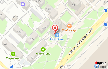 Магазин зоотоваров Рыжий кот в Оренбурге на карте
