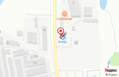 Ветеринарная клиника Алиус на карте