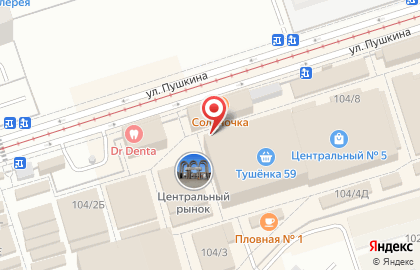 ТЦ Центральный на улице Пушкина на карте