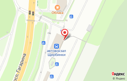 Салон цветов на улице Гагарина 234А на карте
