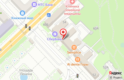 Автоинлайн на улице Пушкина на карте