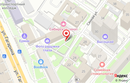 Angel на улице Гагарина на карте