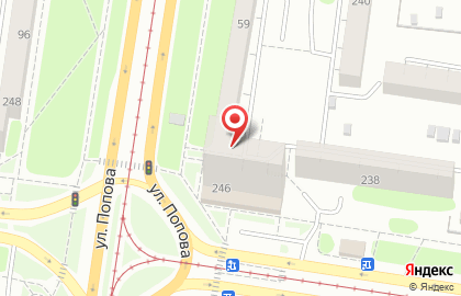 Цимус на улице Антона Петрова на карте
