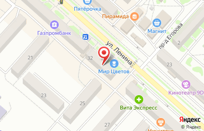 Мини-маркет на улице Ленина на карте