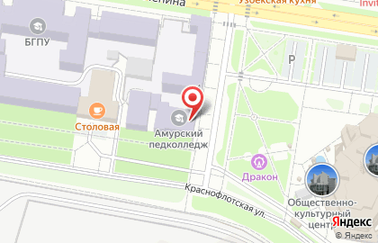 Амурский педагогический колледж на Трудовой улице на карте