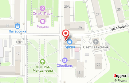 ТЦ Арена на улице Менделеева на карте