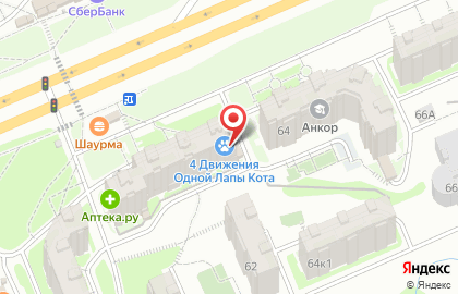 Ветеринарная клиника 4 движения одной лапы кота на карте