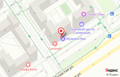 Сервисный центр Лимон на Лучистой на карте