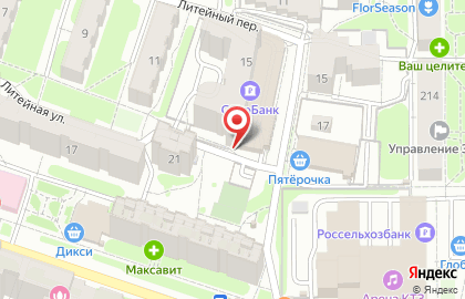 Магазин товаров для животных и огорода Зверский аппетит на Литейной улице на карте