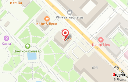 Zебры на улице Ленина на карте