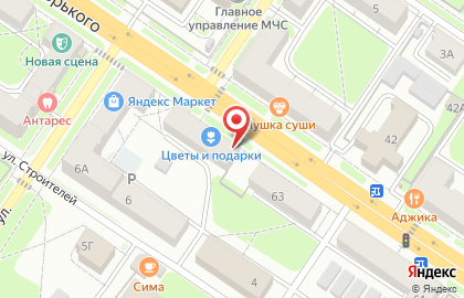 CarActive на улице Горького на карте