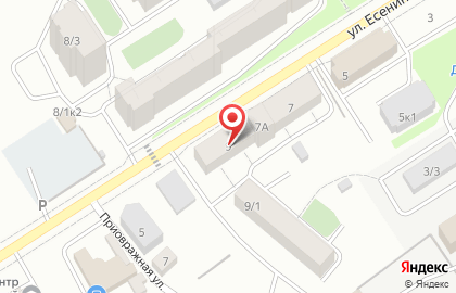 Ветеринарный центр Балу на улице Есенина на карте