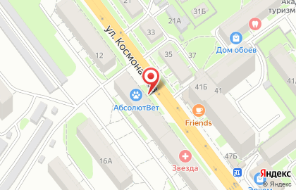 Ветеринарная клиника АбсолютВет на улице Космонавтов на карте