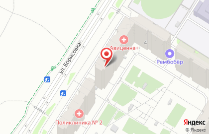 Терминал ПСКБ Банк на улице Борисовка на карте