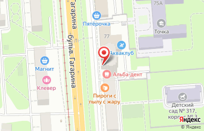Panda на бульваре Гагарина на карте