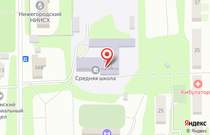 Средняя школа пос. Селекционной станции на Центральной улице на карте