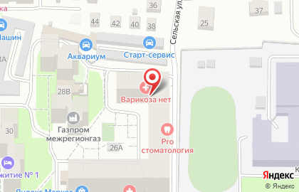 Магазин Косметика и бытовая химия на проспекте Максима Горького на карте