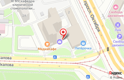 ИП Попович Д.А. на карте
