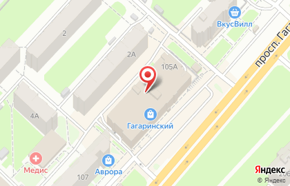 Магазин чая и кофе Plantacia на проспекте Гагарина на карте