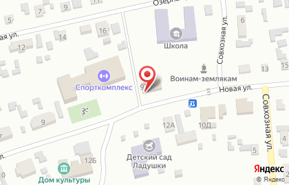 Продовольственный магазин Заря на Новой улице на карте
