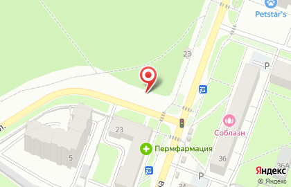 Магазин Цветок в Перми на карте