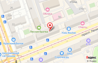 Туристическое агентство Синяя Черепаха на проспекте Ленина на карте