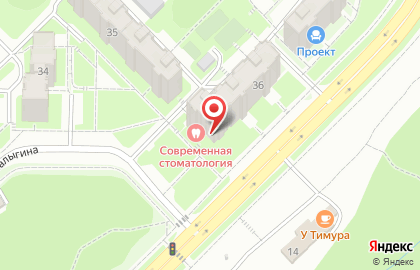 Современная стоматология в Новосибирске на карте