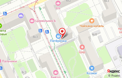 Ригла на Войковской (ул Зои и Александра Космодемьянских) на карте