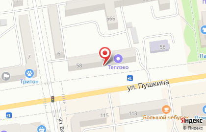 Салон Тамара на улице Пушкина на карте
