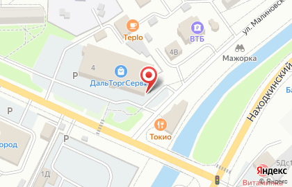 Сервисный центр DNS во Владивостоке на карте