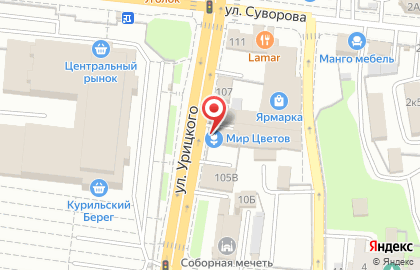 ЦветОптТорг на улице Урицкого на карте