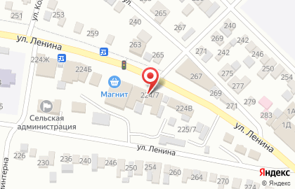 Магазин Камелия на улице Ленина на карте