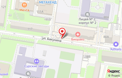 Мир сумок на улице Бакунина на карте