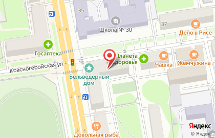 Патронажная служба Добрые Люди на Пушкинской улице на карте