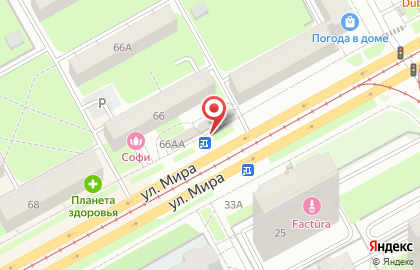Сладкий мишка на карте