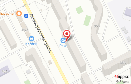 Ветеринарная клиника Рекс на Ленинградском проспекте на карте