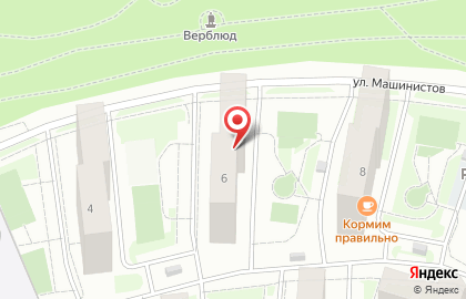 Новостройки, ОАО Строительный трест №3 на улице Демьяна Бедного на карте