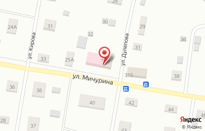 Продуктовый магазин Татьяна на улице Мичурина на карте