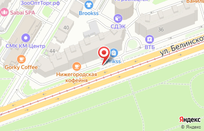 Салон часов Женева на улице Белинского на карте