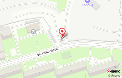 Беркут на улице Новосёлов на карте