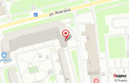Салон оптики Эльма на улице Ялагина на карте