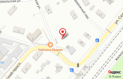 Пос. Пироговский Сельская дши на карте