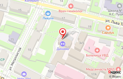 Стрелковый тир Динамо на улице Льва Толстого на карте