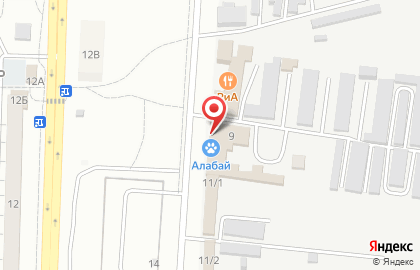 Ветеринарная клиника Алабай на карте