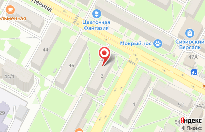 Агентство недвижимости Жилфонд на улице Ленина, 48 в Бердске на карте