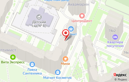 Кузя на проспекте Ветеранов на карте